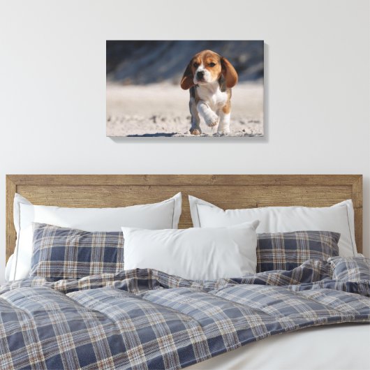 Summer Beagle Leinwanddruck (Insitu (Schlafzimmer))