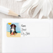 Summer Bernese Mountain Dog (Insitu)