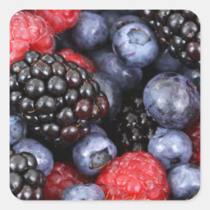 Summer Berries Stickers
