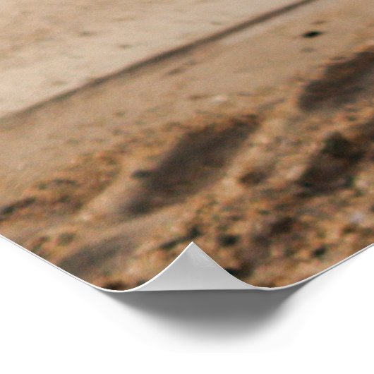 Summer Bikini Poster (Ecke)