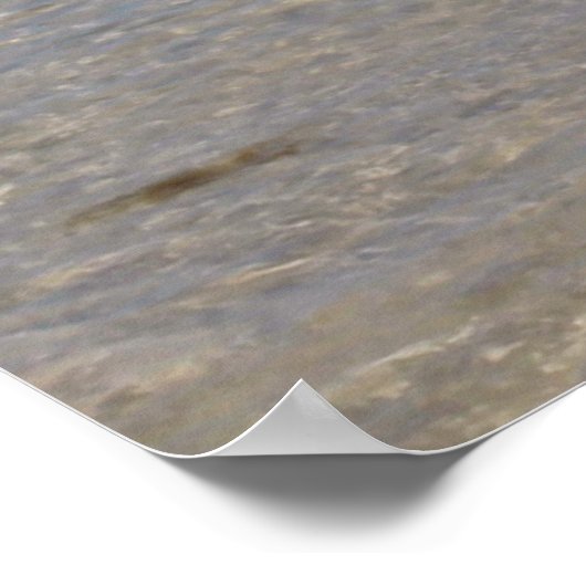 Summer Bikini Poster (Ecke)