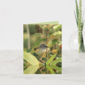 Summer Bird Note Card Karte (Vorderseite)