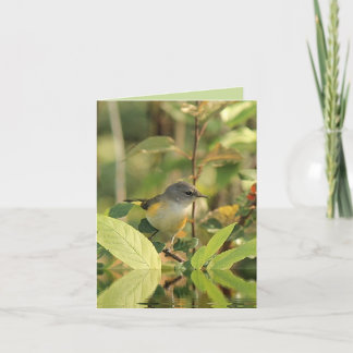 Summer Bird Note Card Karte