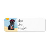 Summer Black Lab (Vorne)