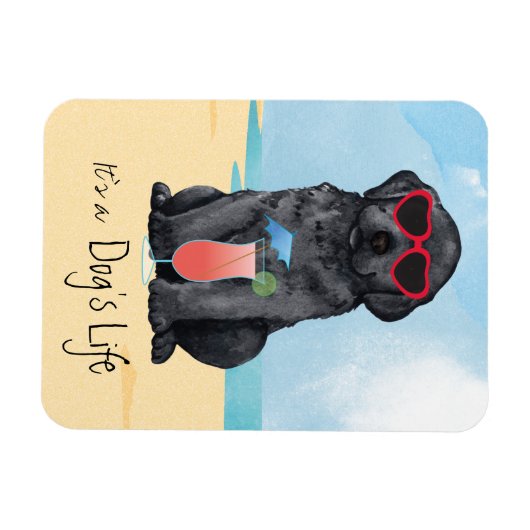 Summer Black Lab Magnet (Horizontal)