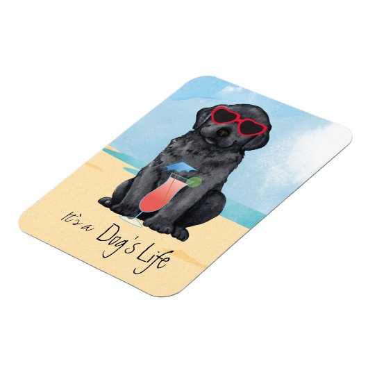Summer Black Lab Magnet (Linke Seite)