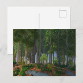 Summer Blätter Postcard Postkarte (Vorne/Hinten)