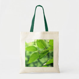 'Summer Blätter with Raindrops' Budget Leinwand Ta Tragetasche