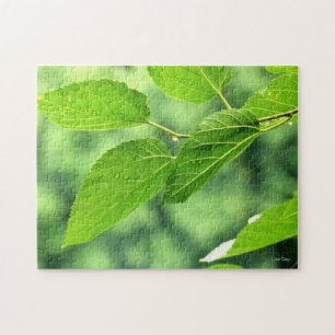 'Summer Blätter with Raindrops' Jigsaw Puzzle