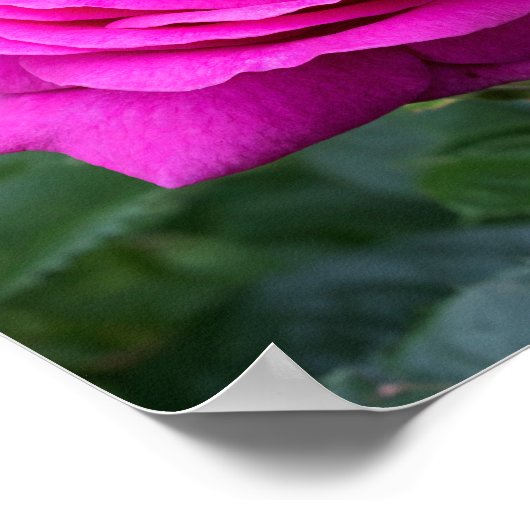 Summer Bloom Poster (Ecke)