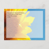 Summer Blue Sky Gelb Sonnenblume Save the Date Ankündigungspostkarte (Rückseite)