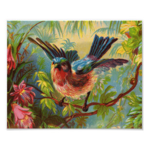 Summer Bluebird Foto Print