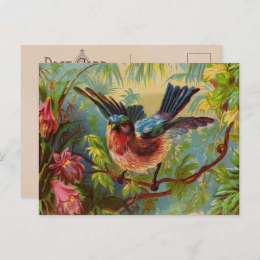 Summer Bluebird Postcard Postkarte (Vorne/Hinten)