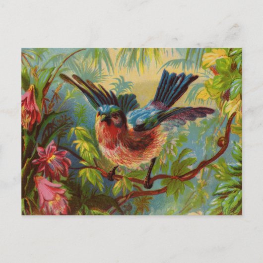 Summer Bluebird Postcard Postkarte (Vorderseite)