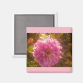 Summer Blume Carnation Magnet (Vorderseite/Rückseite)