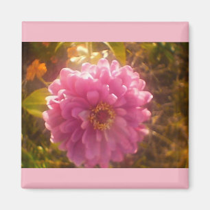 Summer Blume Carnation Magnet