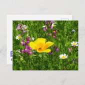 Summer Blume DIY Postcard Postkarte (Vorne/Hinten)