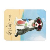 Summer Border Collie Magnet (Horizontal)