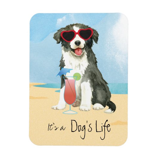 Summer Border Collie Magnet (Vertikal)