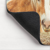 Summer Breeze Palomino Farm Horse  Mousepad (Ecke)