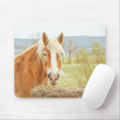 Summer Breeze Palomino Farm Horse  Mousepad (Mit Mouse)