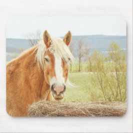 Summer Breeze Palomino Farm Horse Mousepad