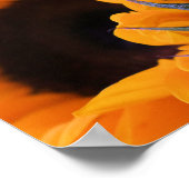 Summer Bright Sonnenblume Poster (Ecke)