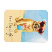 Summer Brussels Griffon Magnet (Horizontal)