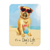 Summer Brussels Griffon Magnet (Vertikal)