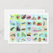 Summer Buggin Collection Postkarte (Vorne/Hinten)