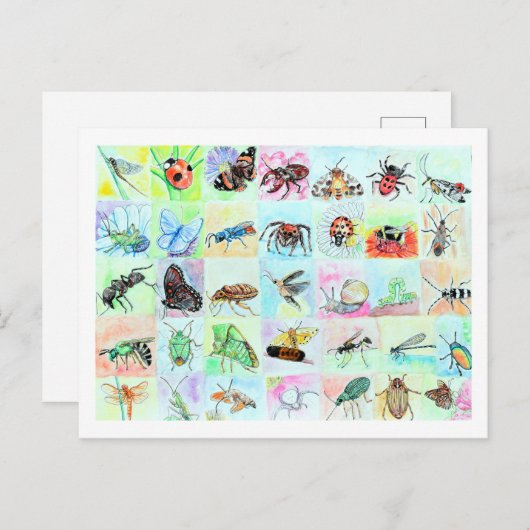 Summer Buggin Collection Postkarte (Vorne/Hinten)