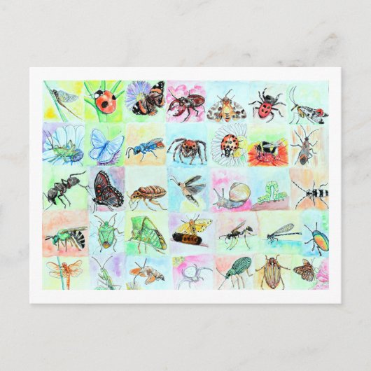 Summer Buggin Collection Postkarte (Vorderseite)