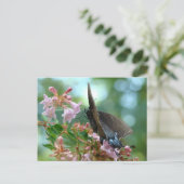 Summer Butterfly Blues Postkarte (Stehend Vorderseite)