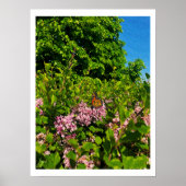 Summer Butterfly Print Poster (Vorne)