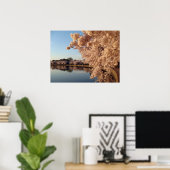 Summer Cherry Blossoms Foto Naturewall Poster (Heimbüro)