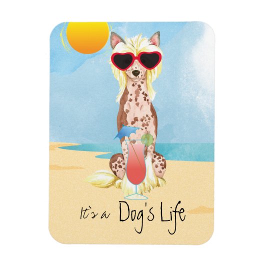 Summer Chinese Created Magnet (Vertikal)