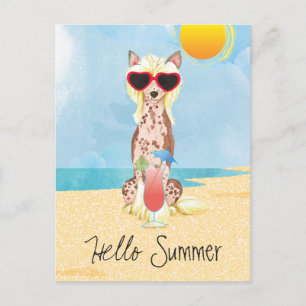 Summer Chinese Created Postkarte