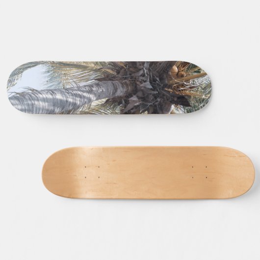Summer Coconut Chill Palm 1 Skateboard (Horizontal)