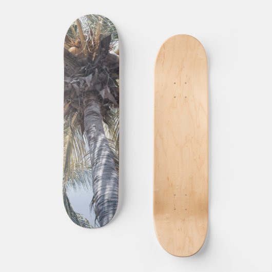 Summer Coconut Chill Palm 1 Skateboard (Vorderseite)