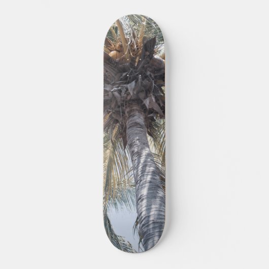 Summer Coconut Chill Palm 1 Skateboard (Vorderseite)