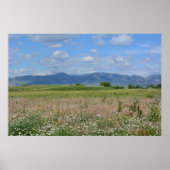Summer Colorado Landschaft Poster (Vorne)