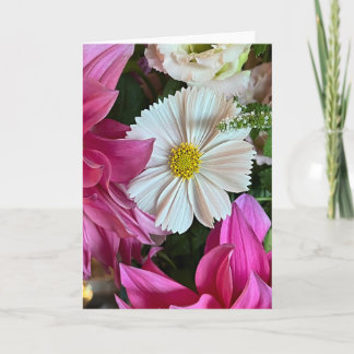 Summer Cosmos Blank Note Card