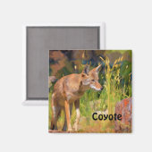 Summer Coyote Wildlife Painting Magnet (Vorderseite/Rückseite)