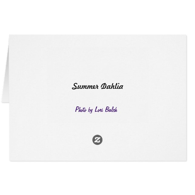 Summer Dahlia (Rückseite Horizontal)