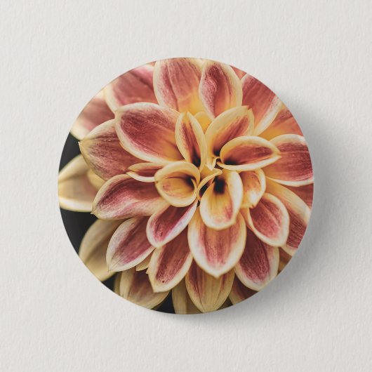 Summer Dahlia Blume (Floral Art) Button (Vorderseite)
