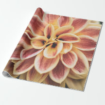 Summer Dahlia Blume (Floral Art)
