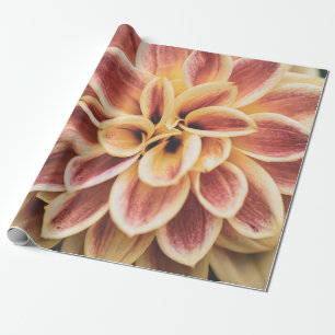 Summer Dahlia Blume (Floral Art) Geschenkpapier