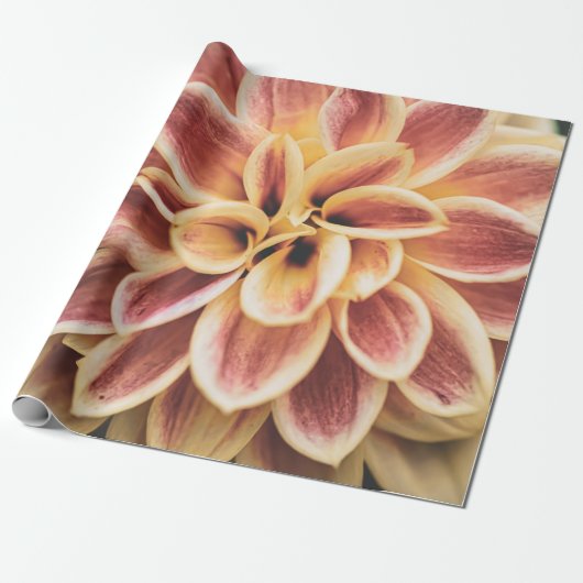 Summer Dahlia Blume (Floral Art) Geschenkpapier (Ungerollt)