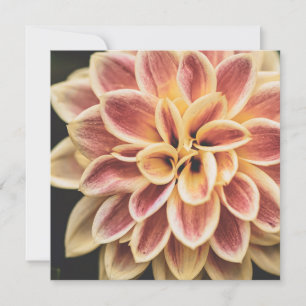 Summer Dahlia Blume (Floral Art) Karte
