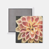 Summer Dahlia Blume (Floral Art) Magnet (Vorderseite/Rückseite)